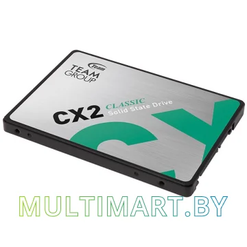 SSD диск Team CX2 256GB (T253X6256G0C101) картинка 4
